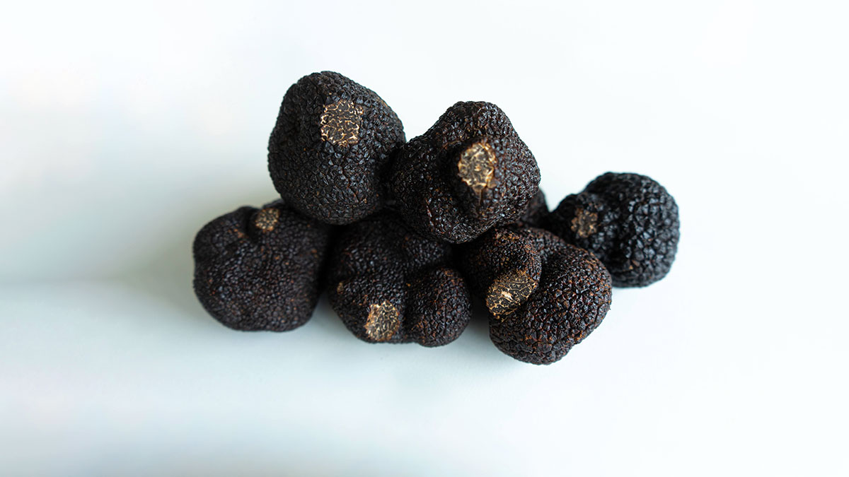 Fungos comestíveis, trufas, trufa negra, culinária gourmet, gastronomia gourmet