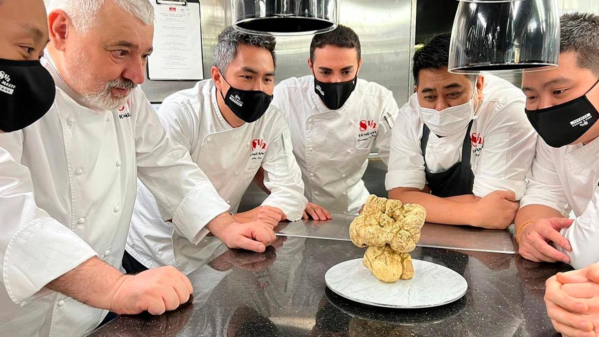 Leilão de Trufas Brancas