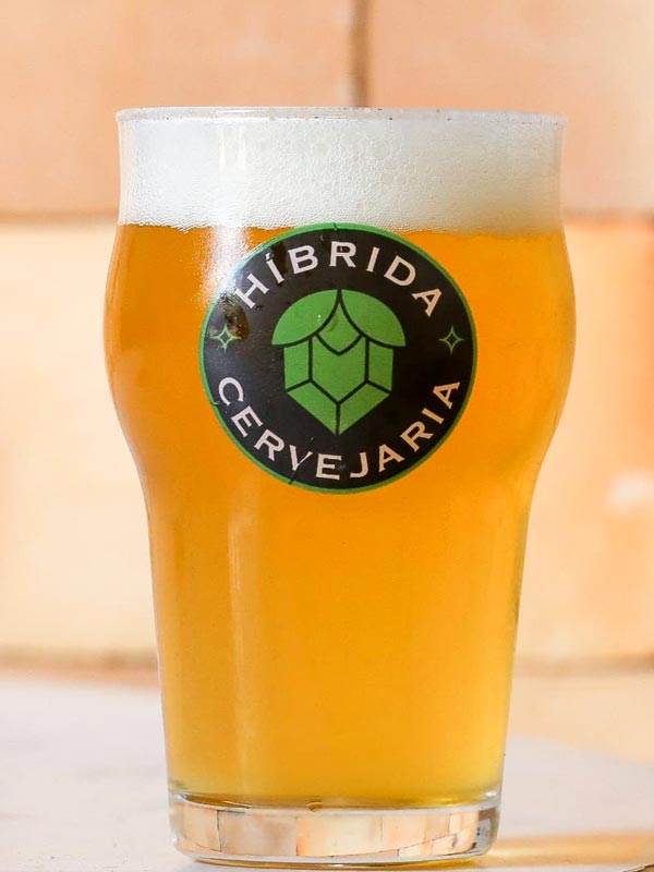 Dia da Cerveja: Conheça 5 artesanais feitas na Bahia Dia da Cerveja: Híbrida