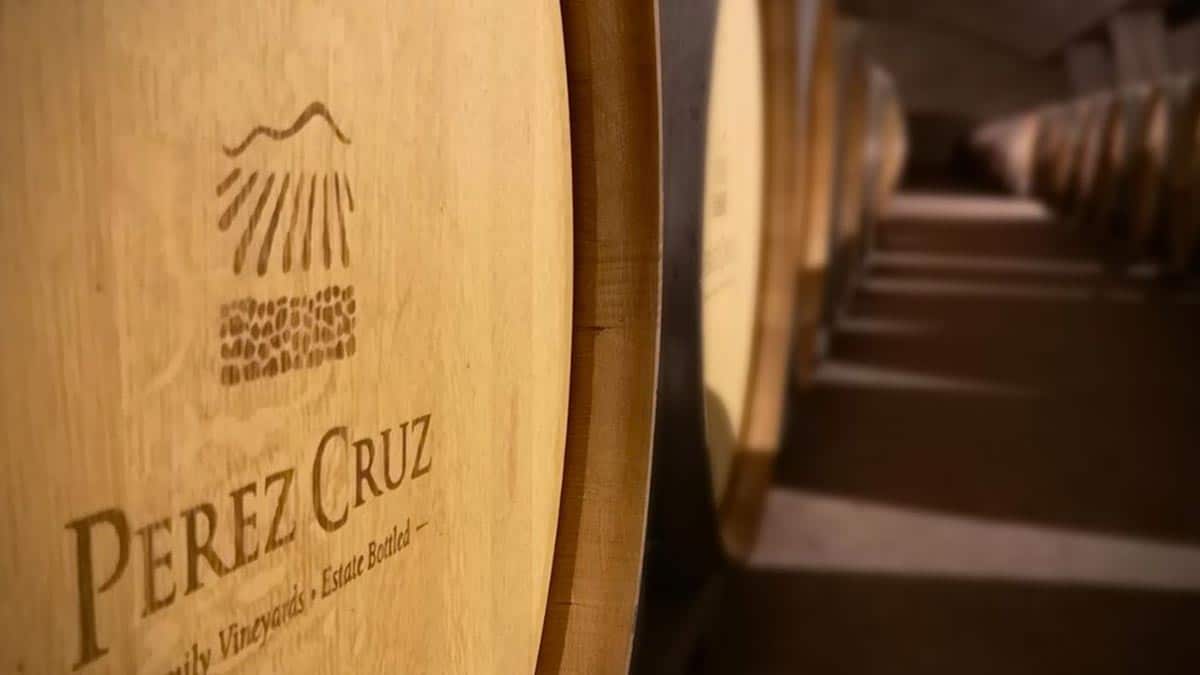 Wine Dez Salvador