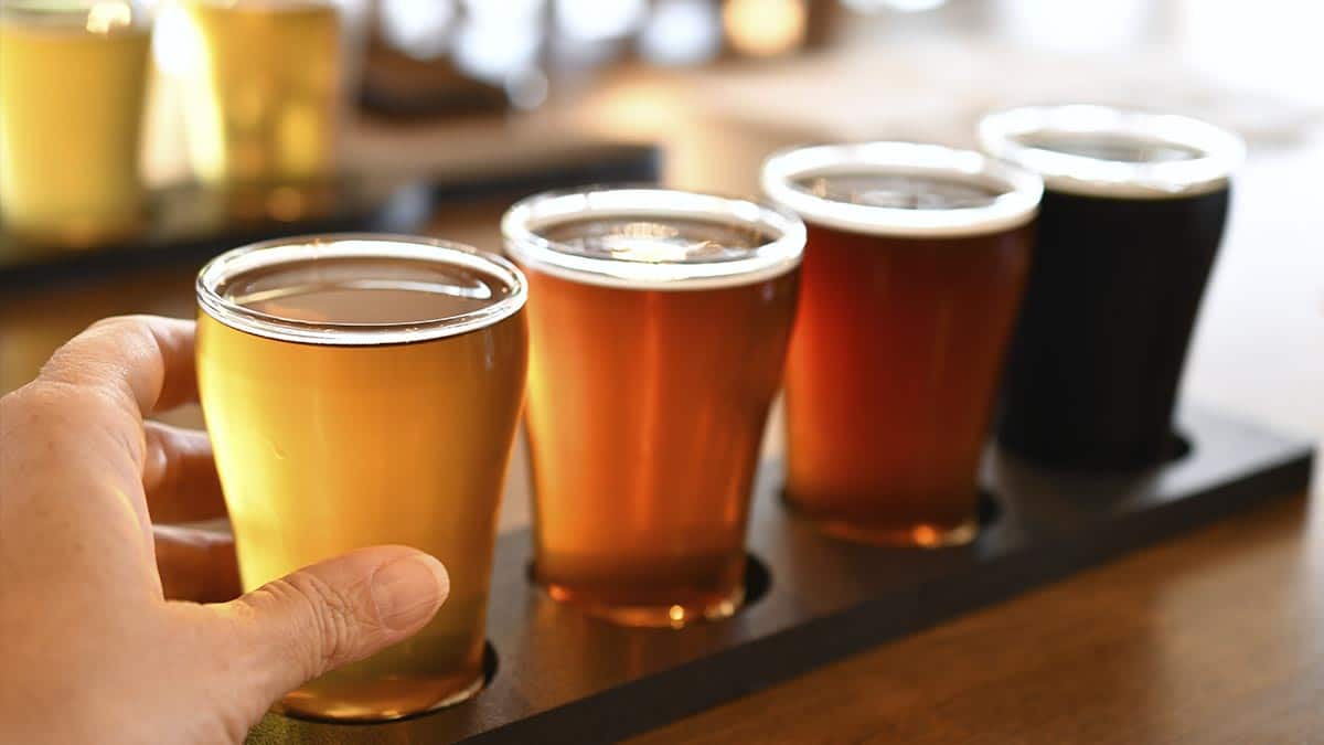 cerveja artesanal, petiscos e música boa na Vila Cervejeira em Lauro de Freitas