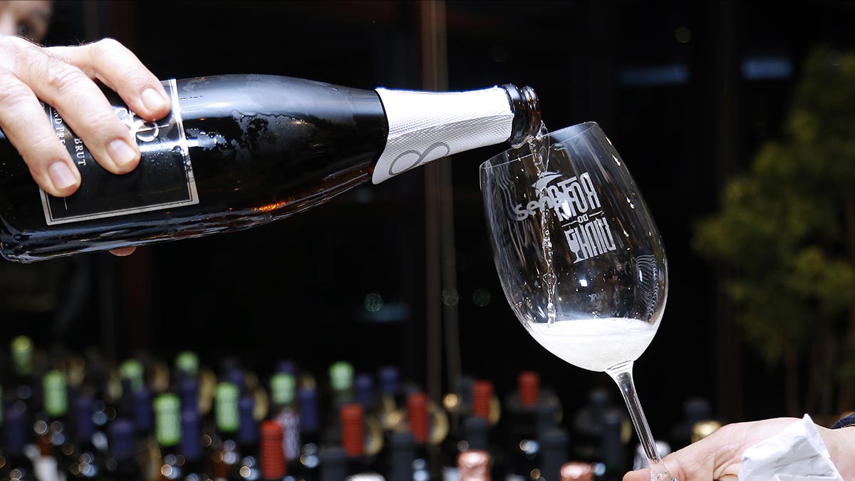 Terceira Edição da Rota do Vinho.