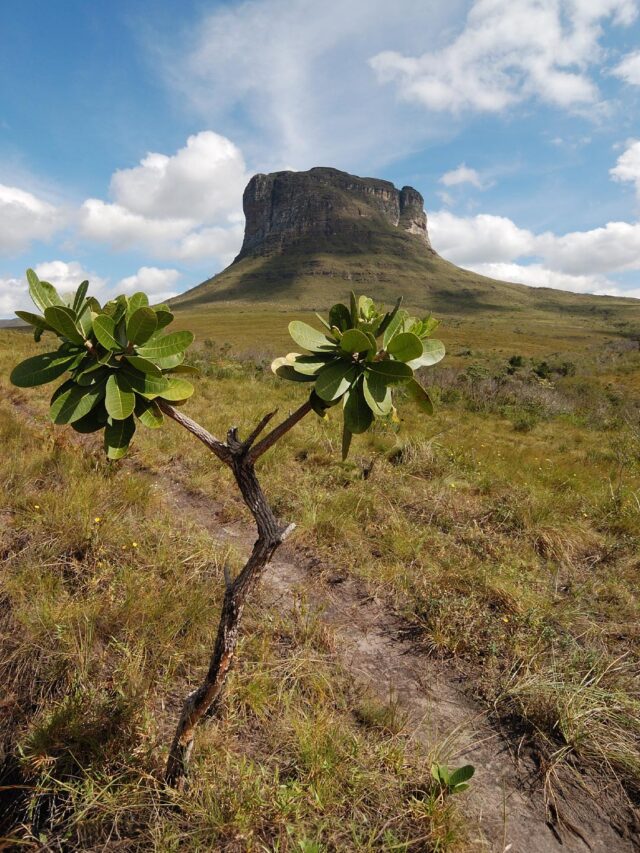 Chapada Diamantina: Aventura, Sabor e Conexão com a Natureza