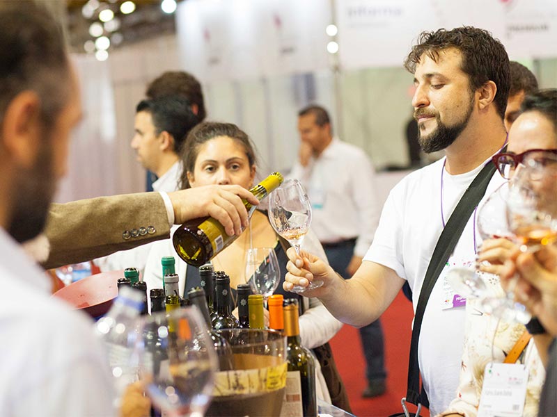 Bahia Vinho Show 2024